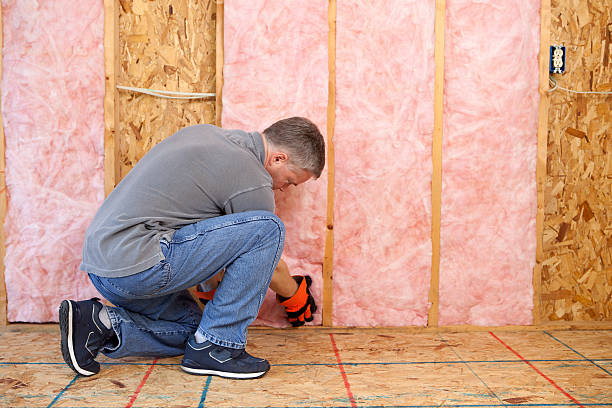 Best Radiant Barrier Insulation  in West Deland, FL